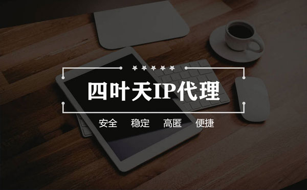 【秦皇岛代理IP】如何快速搭建代理IP？怎么检查代理的效果？